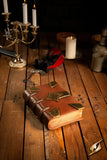Book (foam)